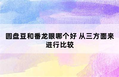 圆盘豆和番龙眼哪个好 从三方面来进行比较